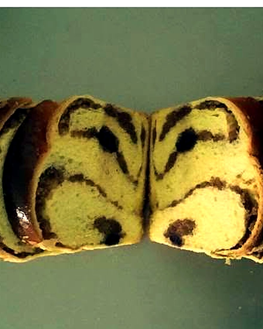 Felii de cozonac cu cacao